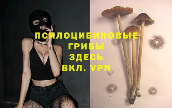 mdpv Няндома