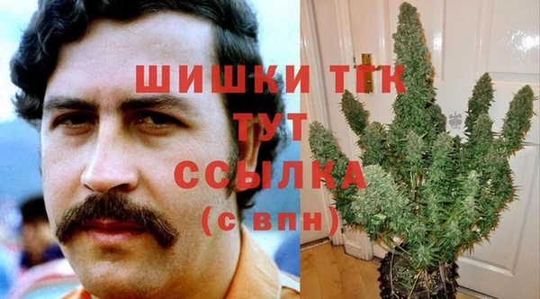 дживик Нягань