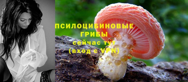 герыч Нязепетровск