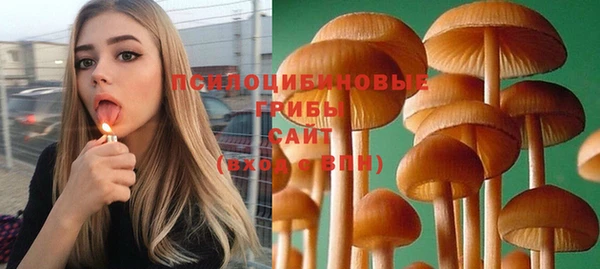 mdpv Няндома